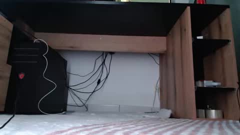 Snapshot of hibo66 chatting on January 2026 03:33:01 AM InMyAss online show from January 2026 03:33:01 AM