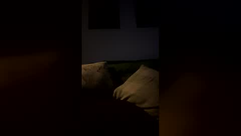 Snapshot of highvolatageusa chatting on February 2026 06:50:01 AM Drake online show from February 2026 06:50:01 AM