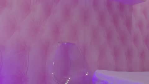 Snapshot of hillary_banks__ chatting on February 2025 04:47:01 AM Hillary online show from February 2025 04:47:01 AM