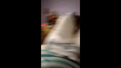 Snapshot of hitchhikerontheroad chatting on April 2026 02:50:01 AM hitchhikerontheroad online show from April 2026 02:50:01 AM