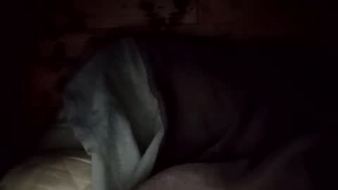 Snapshot of hoioi197777 chatting on November 2025 05:42:02 AM hoioi197777 online show from November 2025 05:42:02 AM