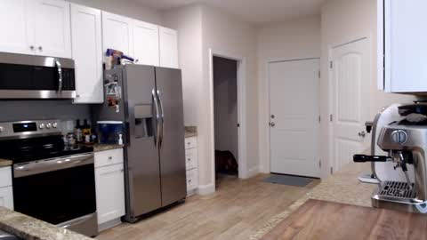 Holi Hurricane online show from September 2025 11:30:02 PM