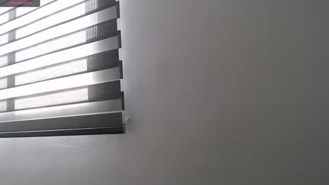 Snapshot of hollykoff chatting on December 2024 07:47:01 PM space online show from December 2024 07:47:01 PM