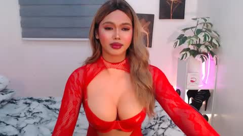 hollywoodstareme online show from August 2026 06:33:02 PM