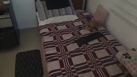 Holofernes45gil online show from March 2026 07:30:02 AM