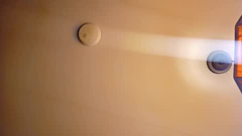 honeybear2026 online show from December 2025 04:06:01 AM