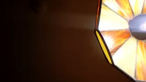 honeybear2026 online show from July 2026 07:37:02 AM