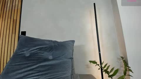 Sofia independent model online show from December 2025 11:47:01 AM