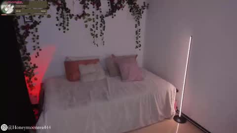 Snapshot of honeymoontea chatting on February 2025 10:14:02 PM online show from February 2025 10:14:02 PM