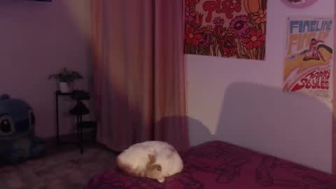    online show from December 2024 12:12:02 AM