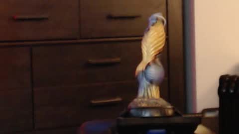 ItsReeleMe online show from February 2026 04:38:02 AM