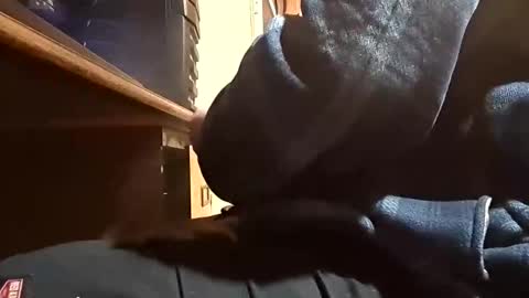 Dominick Subversal online show from November 2025 05:26:02 PM