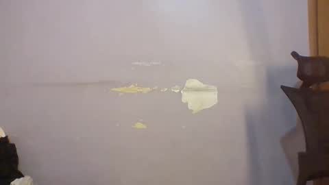 phanice online show from April 2026 05:10:01 AM