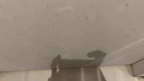 hornybear420420420 online show from March 2026 09:16:01 AM