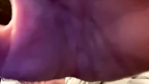 Justin 7 inches online show from September 2025 10:54:01 PM