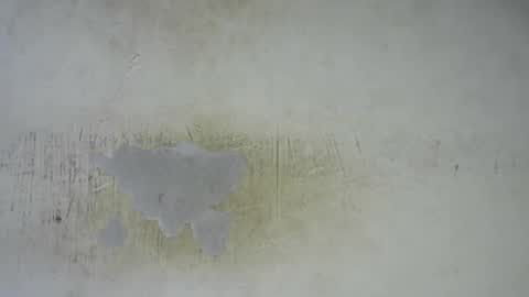 Snapshot of hornyslut_xx chatting on February 2026 11:58:02 PM Bella online show from February 2026 11:58:02 PM