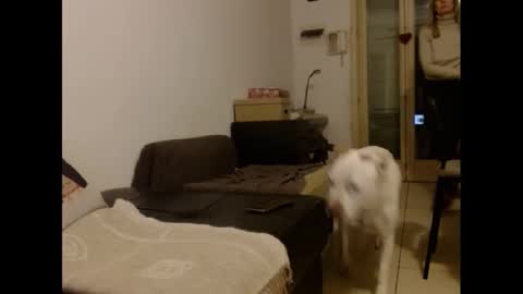 Snapshot of hornyssima chatting on January 2025 05:01:01 PM Hornyssima online show from January 2025 05:01:01 PM