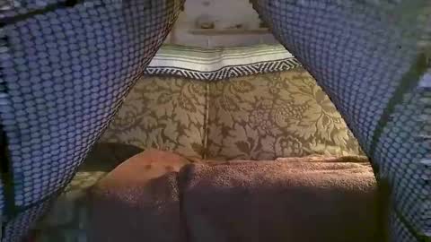 Snapshot of hot2nite22 chatting on February 2026 10:19:02 AM hot2nite22 online show from February 2026 10:19:02 AM