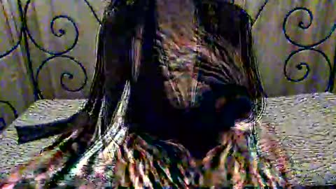 Dina online show from November 2025 08:11:01 PM