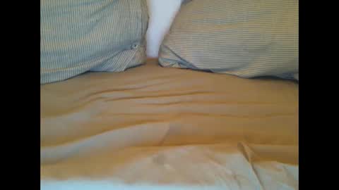 Lars online show from March 2025 11:26:01 PM