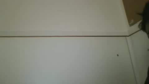 Snapshot of hotandwild2003 chatting on February 2026 03:08:02 PM hotandwild2003 online show from February 2026 03:08:02 PM