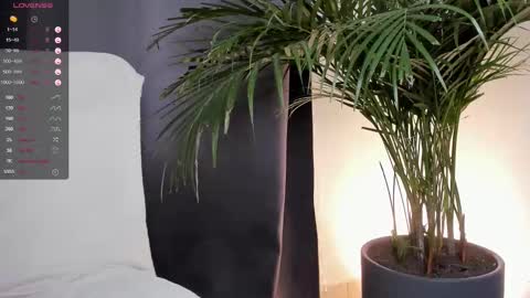 Andrew xdres08 online show from January 2025 03:15:01 AM