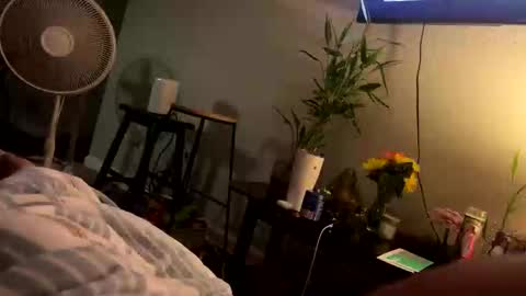 hotluv69692000 online show from November 2025 09:33:01 AM