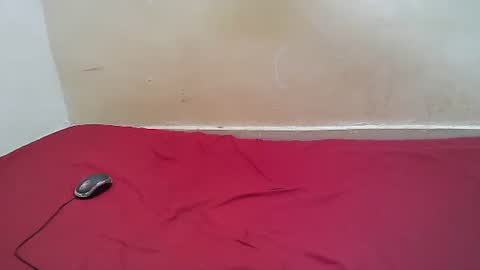 Snapshot of hotpussy1225 chatting on October 2025 11:25:01 AM hotpussy1225 online show from October 2025 11:25:01 AM