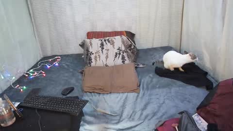 hottiedanicatrans69 online show from May 2026 08:58:01 PM