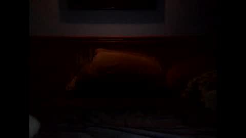 Hottysexy78 online show from November 2025 06:01:01 PM