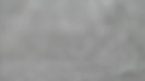 Slutty little female cat online show from July 2026 07:37:02 AM