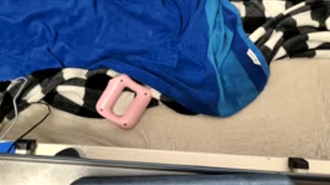 htfsb online show from March 2026 07:17:01 PM