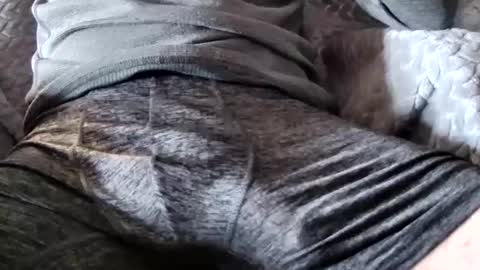 Snapshot of hugepecker131 chatting on December 2025 01:17:02 PM hugepecker131 online show from December 2025 01:17:02 PM