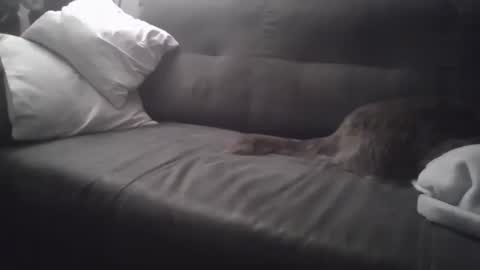 Snapshot of huguit026 chatting on February 2025 11:27:01 PM huguit026 online show from February 2025 11:27:01 PM