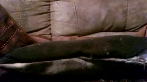 hung420boner online show from March 2026 05:41:02 PM