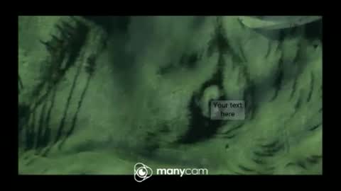 hung420boner online show from March 2026 03:28:02 PM