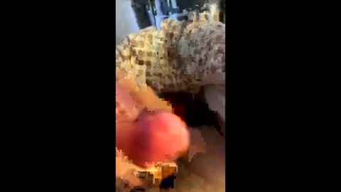 hungminer69 online show from April 2026 01:43:02 AM