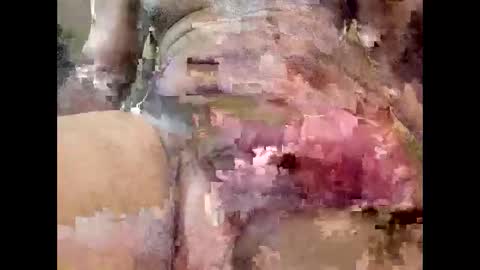 Snapshot of hungrysouth69 chatting on April 2026 06:25:01 AM JohnD online show from April 2026 06:25:01 AM