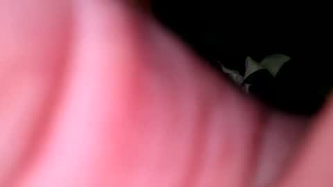 hunk1987_ online show from April 2026 04:32:01 AM