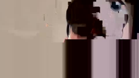 Snapshot of huntershard11997 chatting on November 2025 06:50:01 AM huntershard11997 online show from November 2025 06:50:01 AM