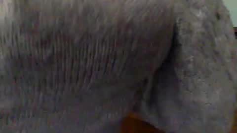 Snapshot of hunyybunz chatting on March 2025 10:10:01 PM Goddess Hunyy online show from March 2025 10:10:01 PM