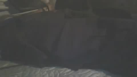 Snapshot of hypn0tiz3d chatting on April 2026 10:34:01 AM TeamCheamCreems online show from April 2026 10:34:01 AM