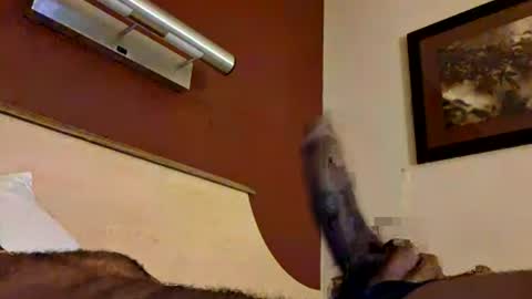 Hypsterical online show from August 2026 01:59:01 AM