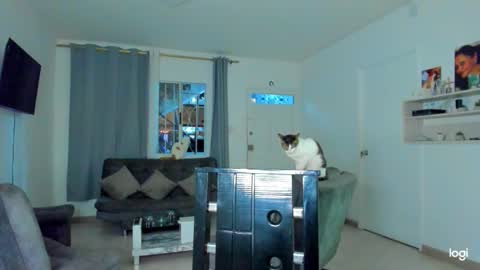 Snapshot of iam_your_fantasy chatting on December 2025 12:09:02 AM iam_your_fantasy online show from December 2025 12:09:02 AM