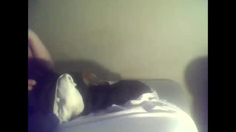 iamtheone403 online show from February 2026 07:01:02 PM