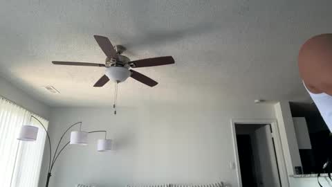 Snapshot of ianrijos01 chatting on September 2025 03:45:02 PM DickFixx online show from September 2025 03:45:02 PM