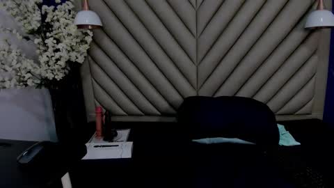 ibbie_ online show from January 2026 12:08:02 PM