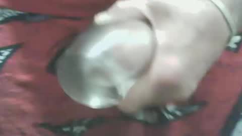 iceman00074 online show from October 2025 08:24:02 AM