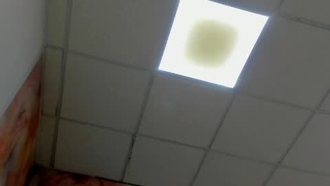 Idiris online show from March 2025 05:54:01 PM