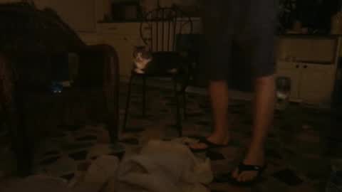 Snapshot of idksohorny chatting on December 2024 06:41:02 AM idksohorny online show from December 2024 06:41:02 AM